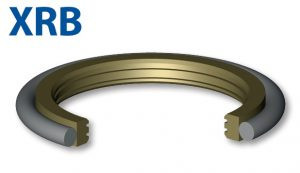 Double acting seal for rotating rod (XRB)